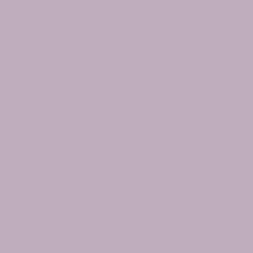FIELD OF LAVENDER